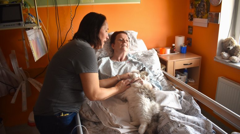 Felinoterapie s modrookou kočkou Elis v krnovské nemocnici. 