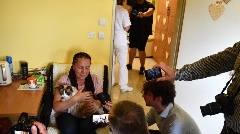 Felinoterapie s modrookou kočkou Elis v krnovské nemocnici. 
