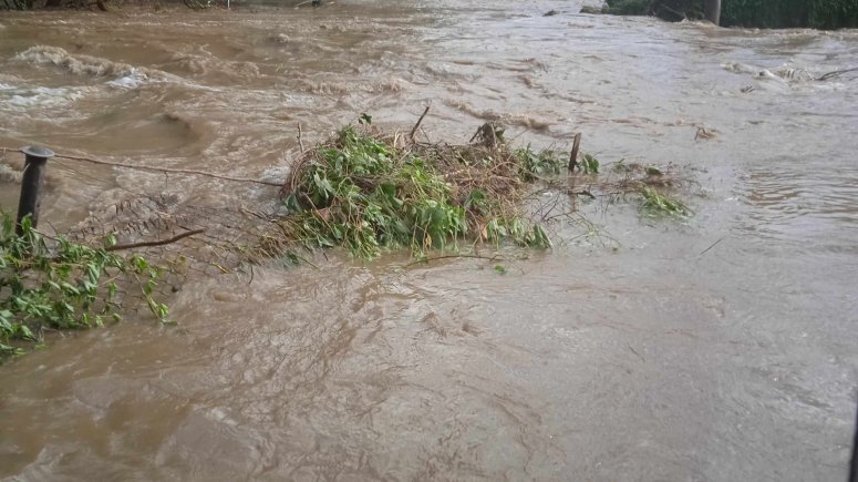 Sbírka na pomoc zaměstnancům. 