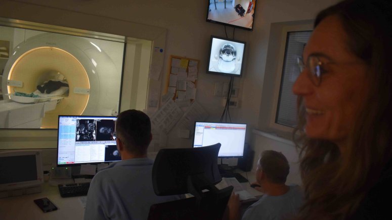 Urologie a magnetická rezonance