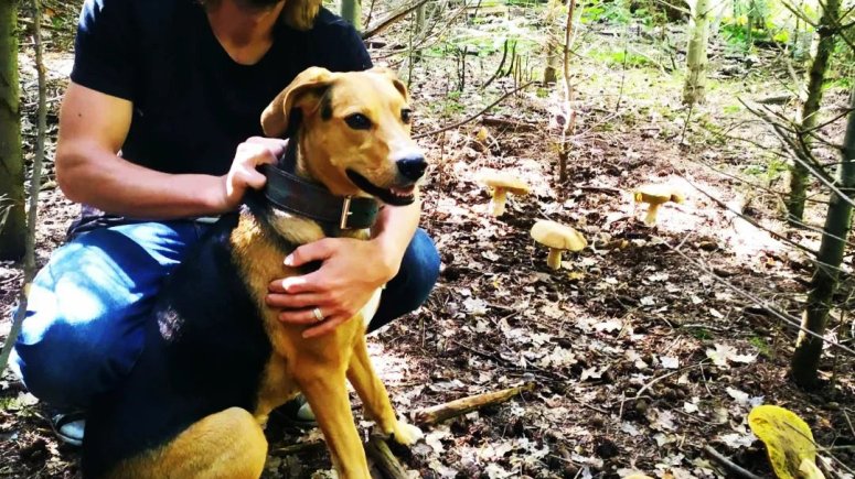 Pacient Michal Kuba encefalitida