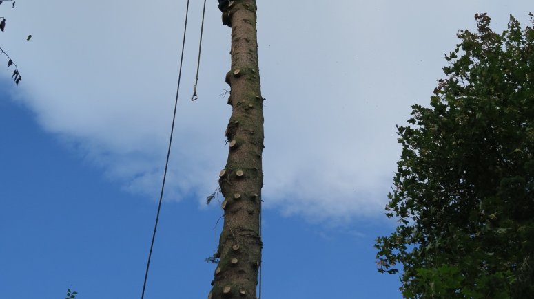 Pacient Michal Kuba encefalitida